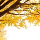 열매한의원 이미지