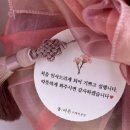 올바른떡 | 김해 부모님 첫인사 선물 대성공! 내외동 올바른떡공방 바람떡매화잣꽃송편세트 내돈내산 후기