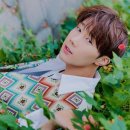 행복회로 이미지