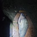 청도천10 이미지