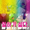 3교대에 지쳐 생활리듬이 깨진 나여시(2n세, 일의 노예, 5년차 인피니트 핵덕후) 를 구원해준 인피니트 사진 암막스크린 훅이후기★ 이미지