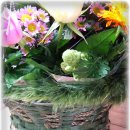 지노메디 이미지