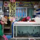속초 설악항 맛집 창성호 횟집 14호 바다 조망