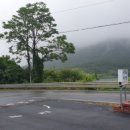 카페 라현 이미지