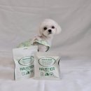 티어리베 이미지