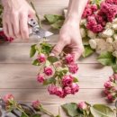 효주공방 이미지