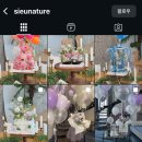 시으니처(Sieunature)