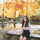 거리로R 이미지