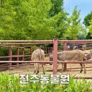전주동물원 지도 입장료 전북여행 아이와 가볼만한곳