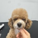 조아팩 이미지