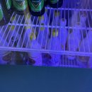 테라파시 이미지
