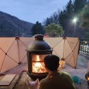 캠프위드펫&애견글램핑 이미지