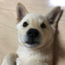 북부동물병원 이미지