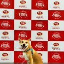 건강한 라인댄스 | 🐶밥이보약 보약크루2기 공장犬학｜하림펫푸드 해피댄스 스튜디오 투어 후기