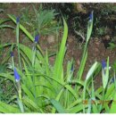 오늘나의정원 이미지