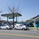 51주유소 이미지