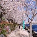 주안마원 | 지난 일상 정리 - 총선 투표 완료 /홈케어 오아 쁘띠케어 메디필 펩타이드9/ 소래포구 대게 가격 후기