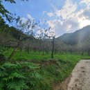 백자리경로당 이미지