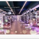 짐샤크 하안점 이미지