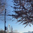 석관지하보차도 이미지