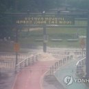 하천(갑천4) 이미지