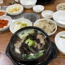 (주)와이디와이 | 3월 첫째주 이모저모 (능이버섯백숙, 보난자커피, 북촌한옥마을, 슈가스컬)