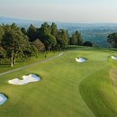 진인터내셔널 이미지