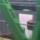 셰프의 펫방앗간 | 2025.8. 서울의 여름