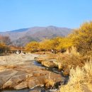 대음여성경로당 이미지