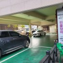 수변풍천장어 이미지