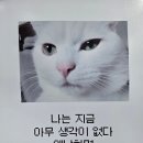 정조로 | 수원 문안과 | 라섹수술 한 달 후기 | 시력 변화·주의사항 | 라섹지인할인