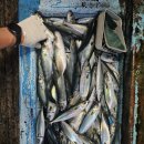 순찬낚시터 이미지