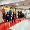 용인대스포츠아카데미 이미지