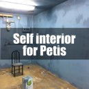 페티즈(petis) 네이버블로그