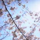 스튜디오모남 이미지