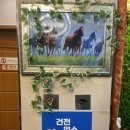창선치안센터 | 남포동마사지 남포동실내데이트 청담마사지 아로마마사지 후기