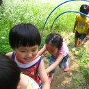 창성유치원 이미지