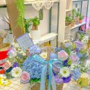 사파동258 이미지