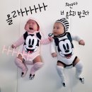 로일