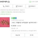 부엉이숲 이미지
