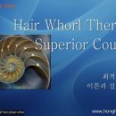 코스특허법률사무소