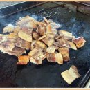 동강자연속으로 이미지