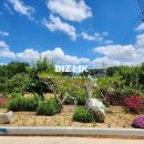 정자 공인중개사사무소 이미지