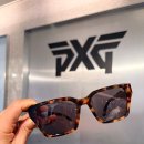 롯데백화점 본점 팝업 스토어, 피엑스지(PXG) 골프 아이웨어 X-PRO렌즈 후기