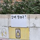 대자연유치원 | 썩은 과일은 알아서 떨어진다.