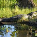 박재도농장 | 호주 다윈(Darwin) 가볼만한 관광지들 정리