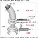 원핵생물 기저체 질문입니다 이미지