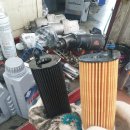 애니카랜드 교동한미 이미지