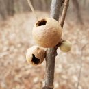 상수리PC 이미지