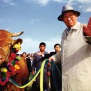 김성곤농장 이미지